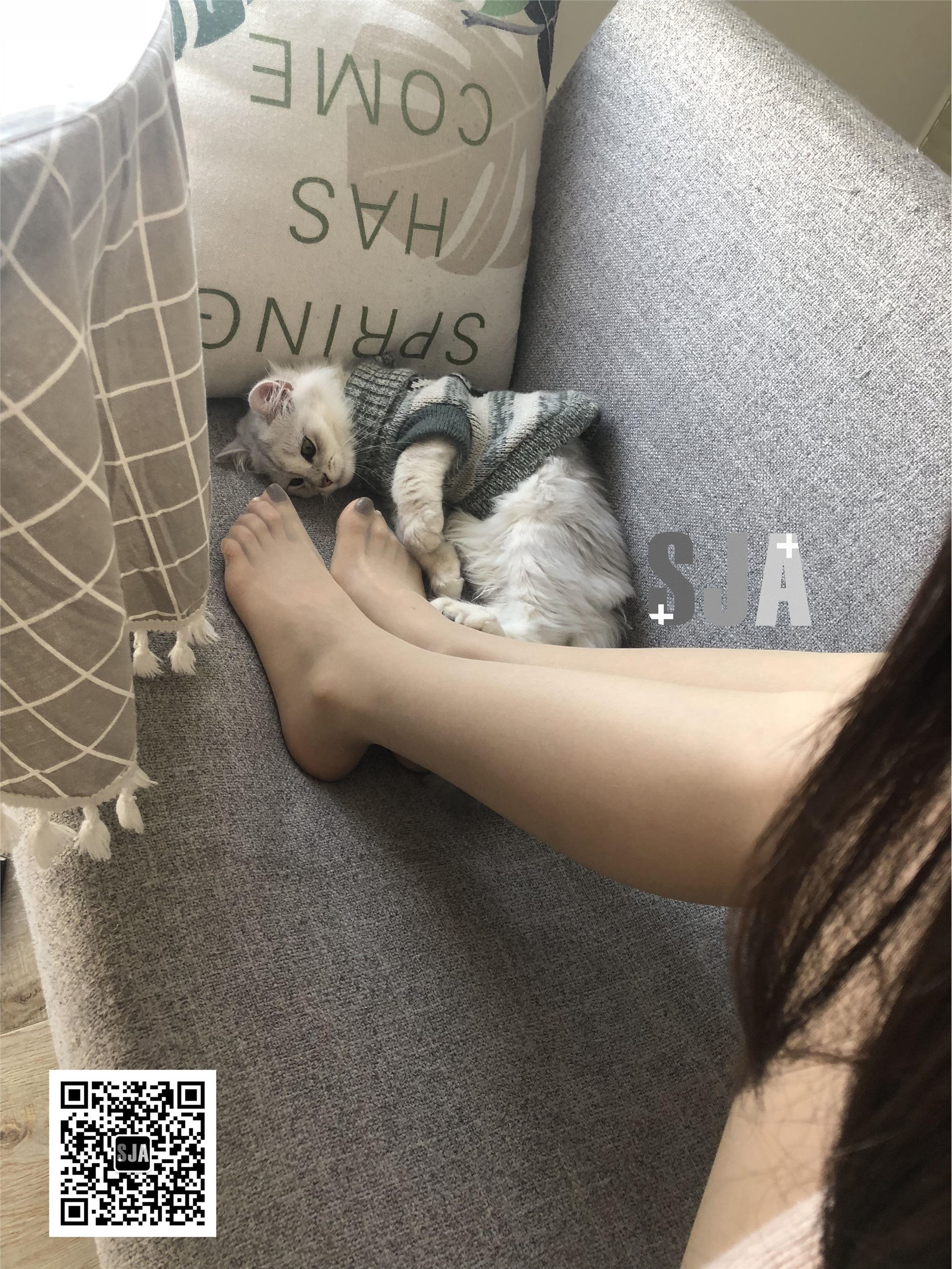 SJA佳爷 闺蜜视角 NO.013 喵